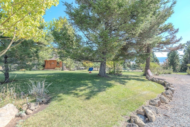 view of yard featuring a storage shed