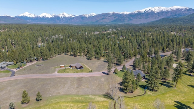 NHN Golf View Dr, Seeley Lake, MT 59868