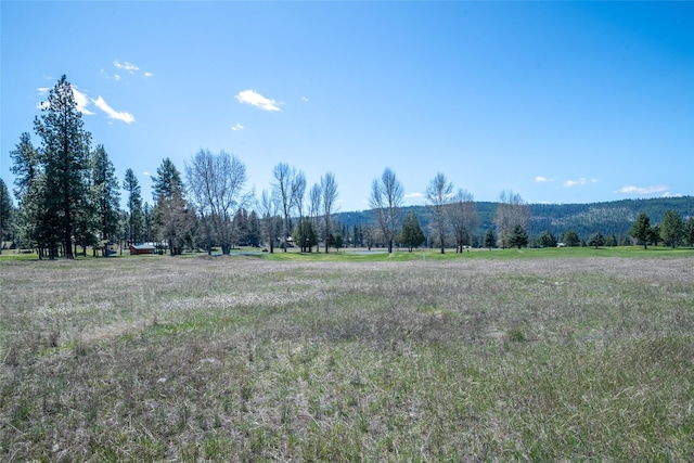 NHN Golf View Dr, Seeley Lake, MT 59868