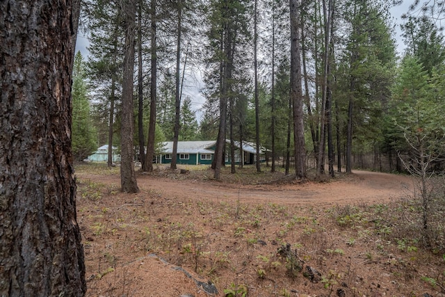 27 Birch Ln, Trout Creek, MT 59874 - view of yard featuring a forest view