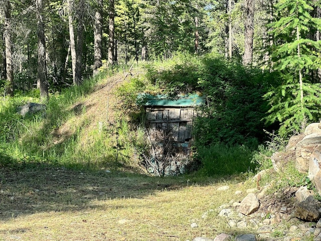 27 Birch Ln, Trout Creek, MT 59874 - view of yard with a forest view