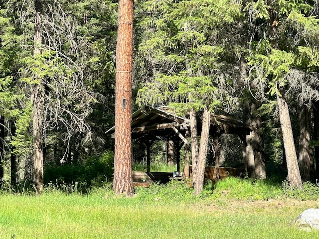 27 Birch Ln, Trout Creek, MT 59874 - view of nature
