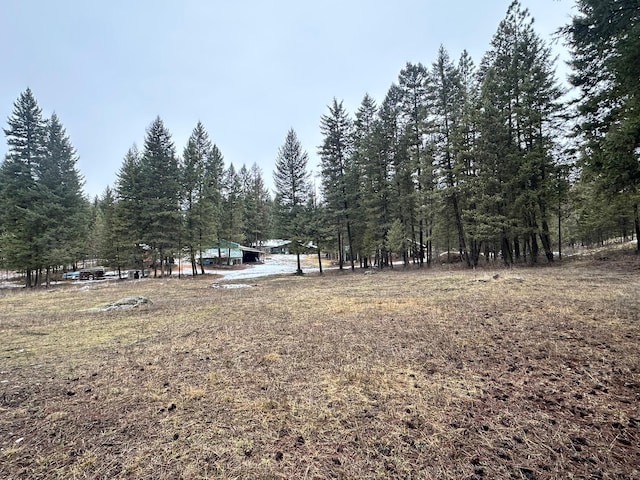 27 Birch Ln, Trout Creek, MT 59874 - view of yard