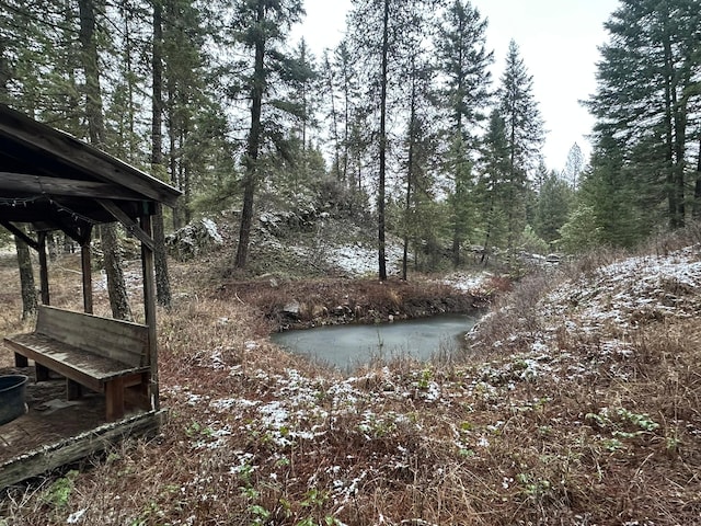 27 Birch Ln, Trout Creek, MT 59874 - view of yard
