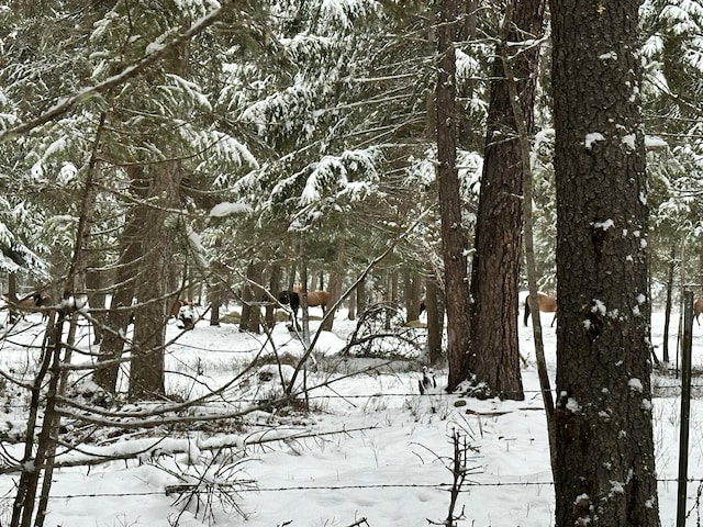 view of snowy landscape