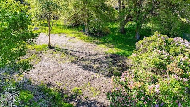 602 13th Ave E, Polson, MT 59860