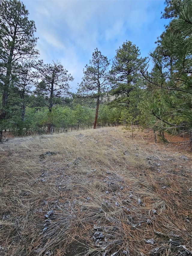 Listing photo 3 for NHN Pryor Creek Ln, Cascade MT 59421