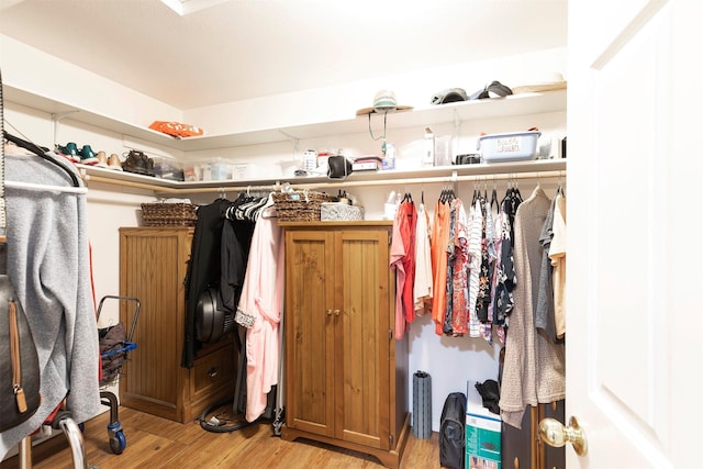 spacious closet with radiator heating unit and light hardwood / wood-style floors