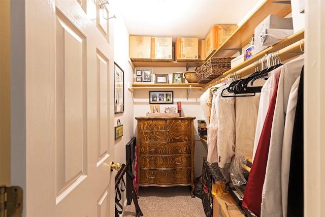 walk in closet with carpet flooring