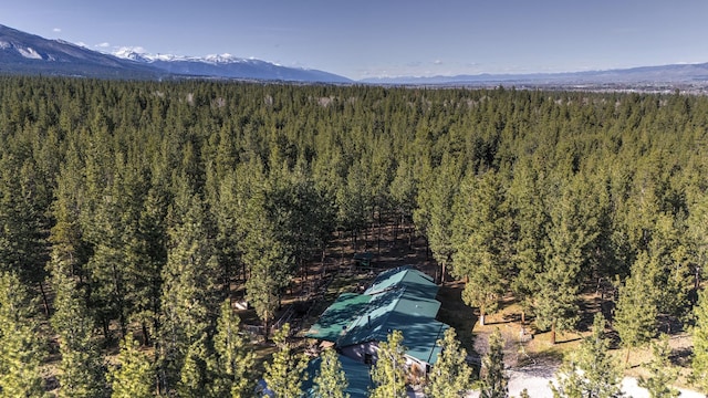 aerial view with a mountain view