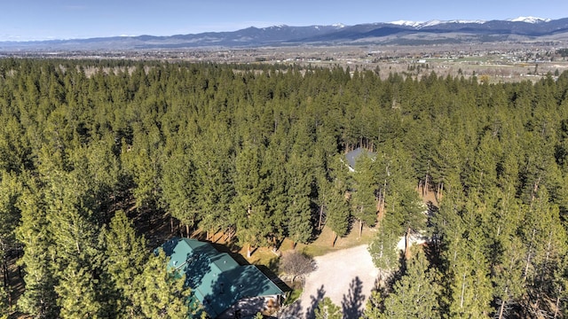 birds eye view of property featuring a mountain view