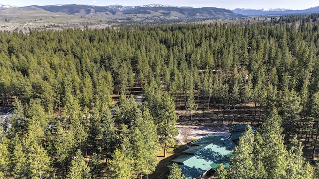 bird's eye view with a mountain view