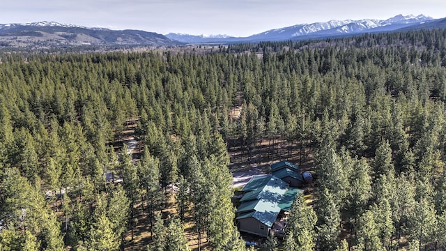 drone / aerial view featuring a mountain view