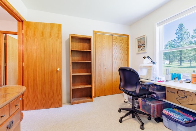 view of carpeted office