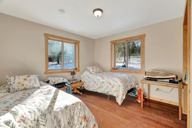 bedroom featuring multiple windows and wood-type flooring