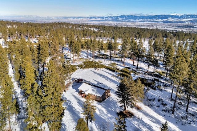 snowy aerial view featuring a mountain view