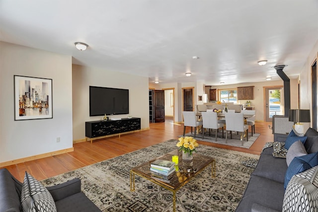 living room featuring wood-type flooring