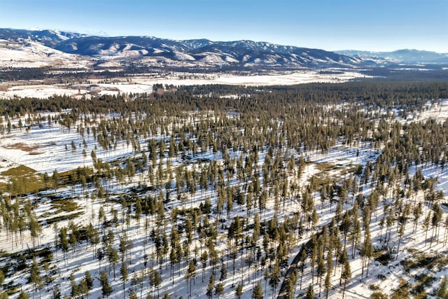 snowy aerial view with a mountain view