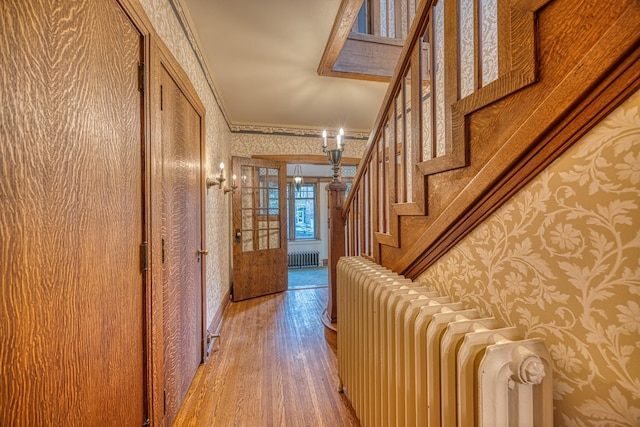 hall with light wood-type flooring, radiator heating unit, and ornamental molding