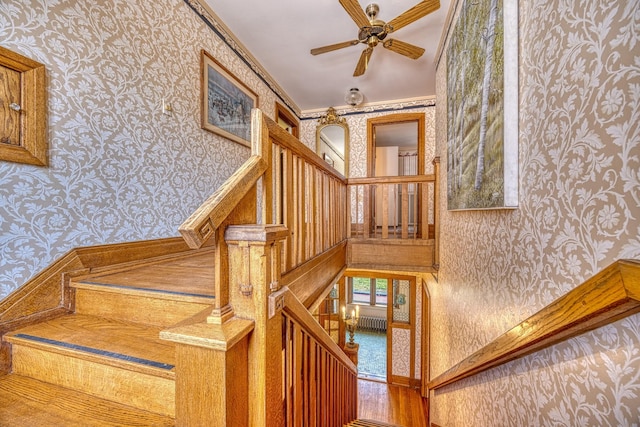 stairway featuring ceiling fan, wood-type flooring, and ornamental molding