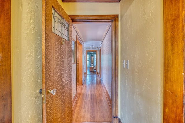 hallway with crown molding and wood-type flooring
