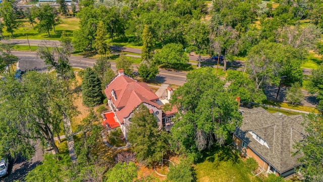 bird's eye view