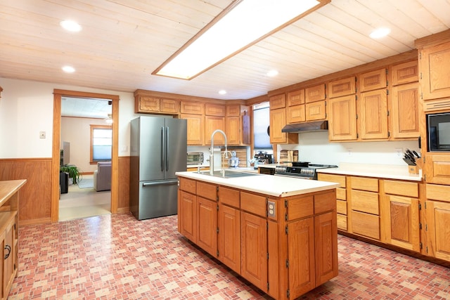 kitchen with a center island with sink, sink, wooden walls, a wealth of natural light, and stainless steel appliances