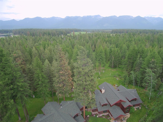 940 Mccaffery Rd, Bigfork, MT 59911 - aerial view of property and surrounding area with a forest