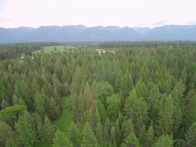 940 Mccaffery Rd, Bigfork, MT 59911 - mountain view featuring a heavily wooded area