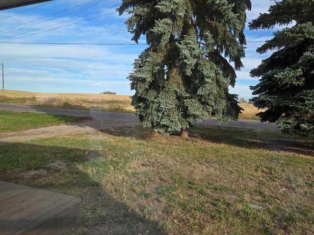 view of yard featuring a rural view