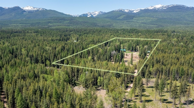 drone / aerial view with a mountain view