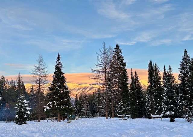 view of snowy landscape