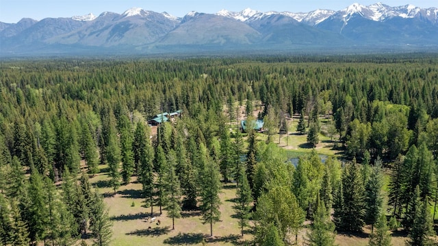 drone / aerial view with a mountain view