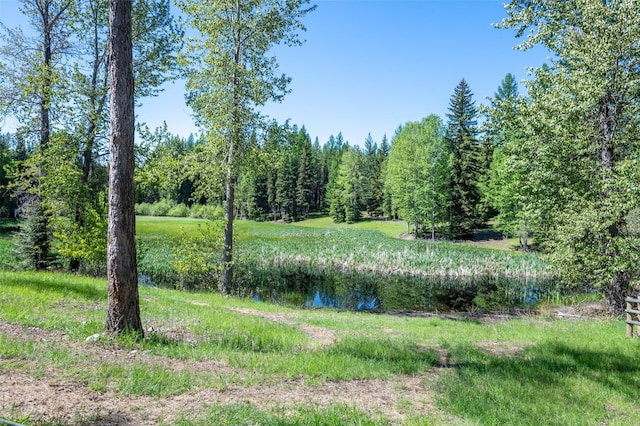 view of landscape with a water view