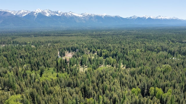 view of mountain feature