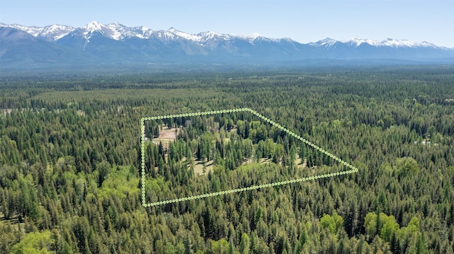 drone / aerial view featuring a mountain view