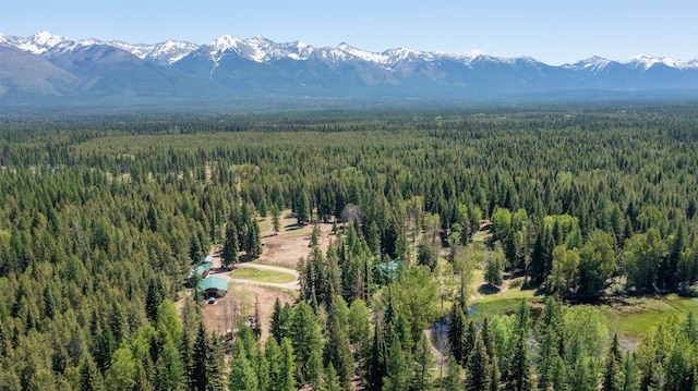 aerial view with a mountain view