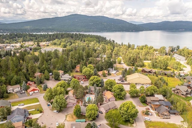 birds eye view of property featuring a water and mountain view