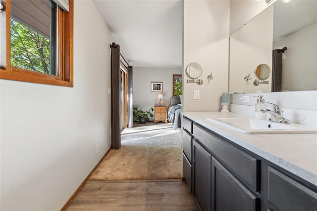 bathroom with vanity and wood-type flooring