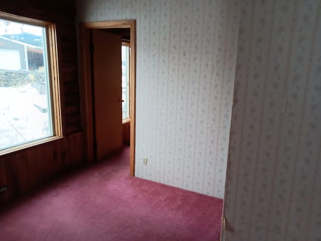 unfurnished room featuring carpet floors