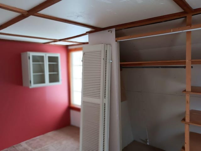 unfurnished bedroom featuring carpet floors and a closet