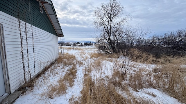 view of yard layered in snow