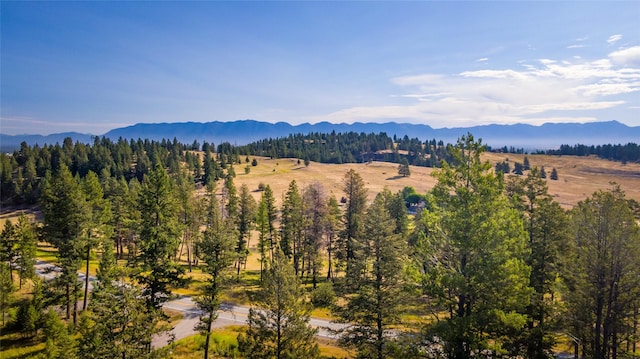 view of mountain feature