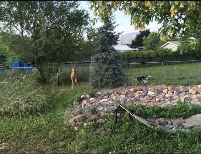 200 Clayton St, Plains, MT 59859 - view of yard with fence