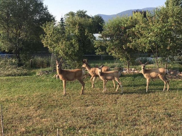 200 Clayton St, Plains, MT 59859 - view of yard with fence and a mountain view