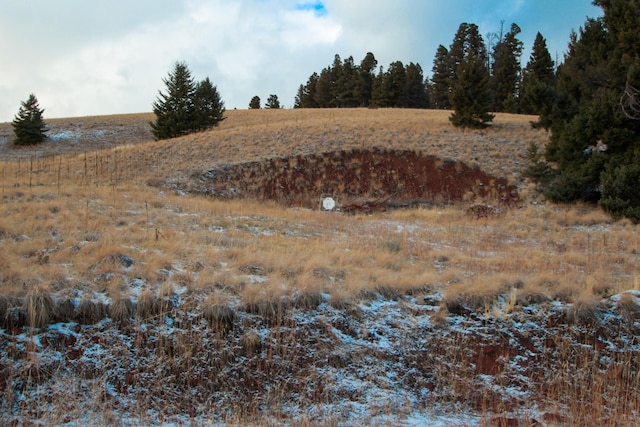 view of landscape featuring a rural view