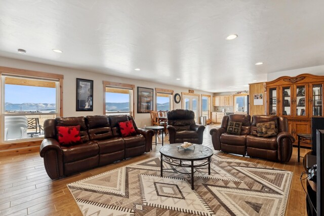 living room with light wood-type flooring and a mountain view