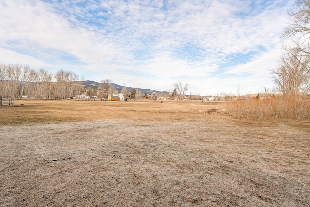 view of yard featuring a rural view and a mountain view