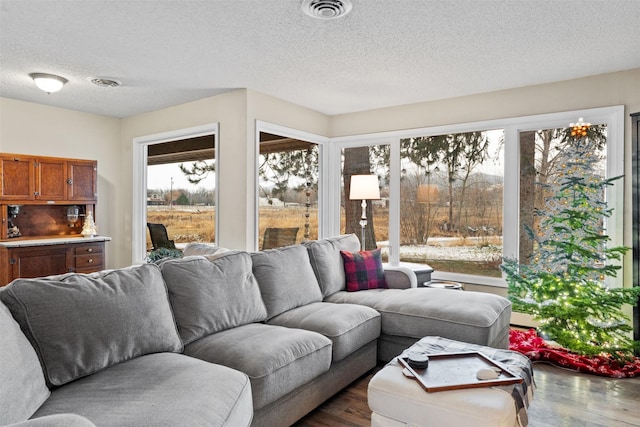 living room with a textured ceiling and dark wood-type flooring