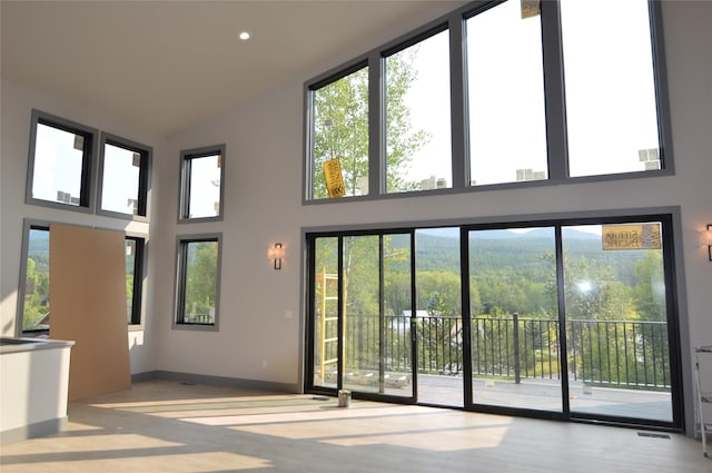 doorway to outside featuring light hardwood / wood-style floors, a high ceiling, and plenty of natural light